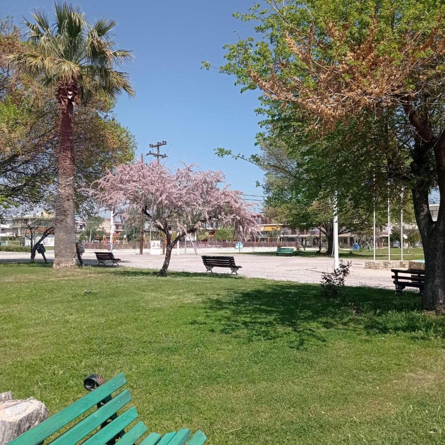 Apartment Perla