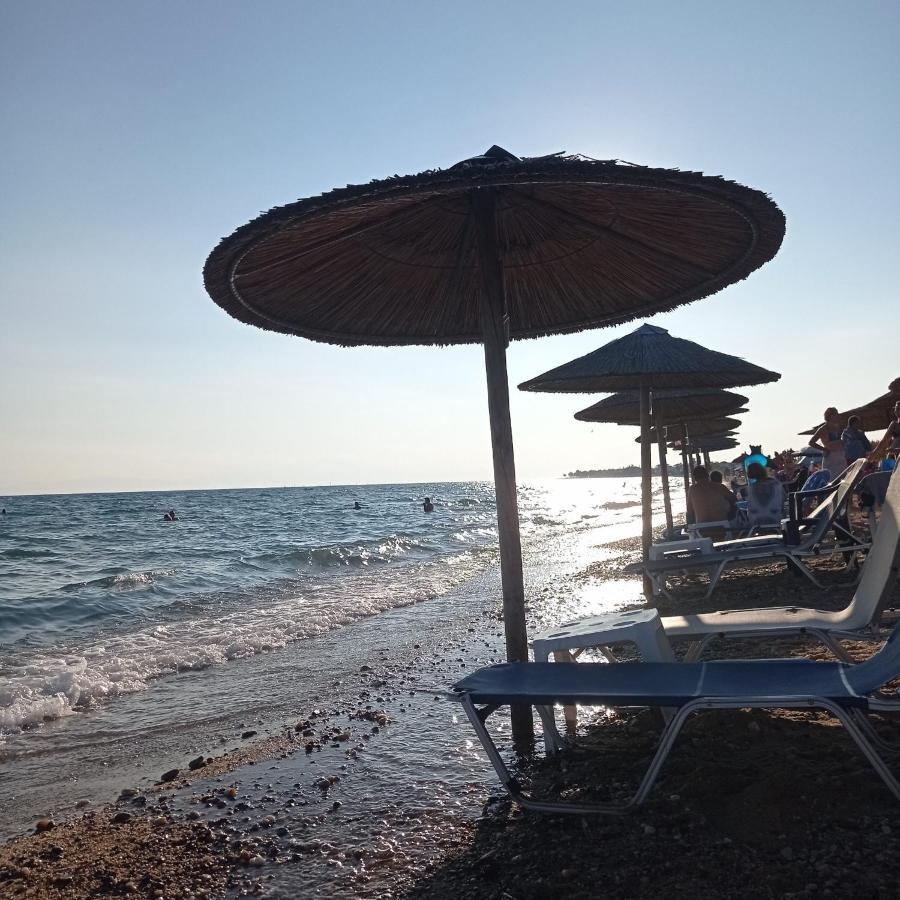 Apartment Perla Paralia Dionysiou