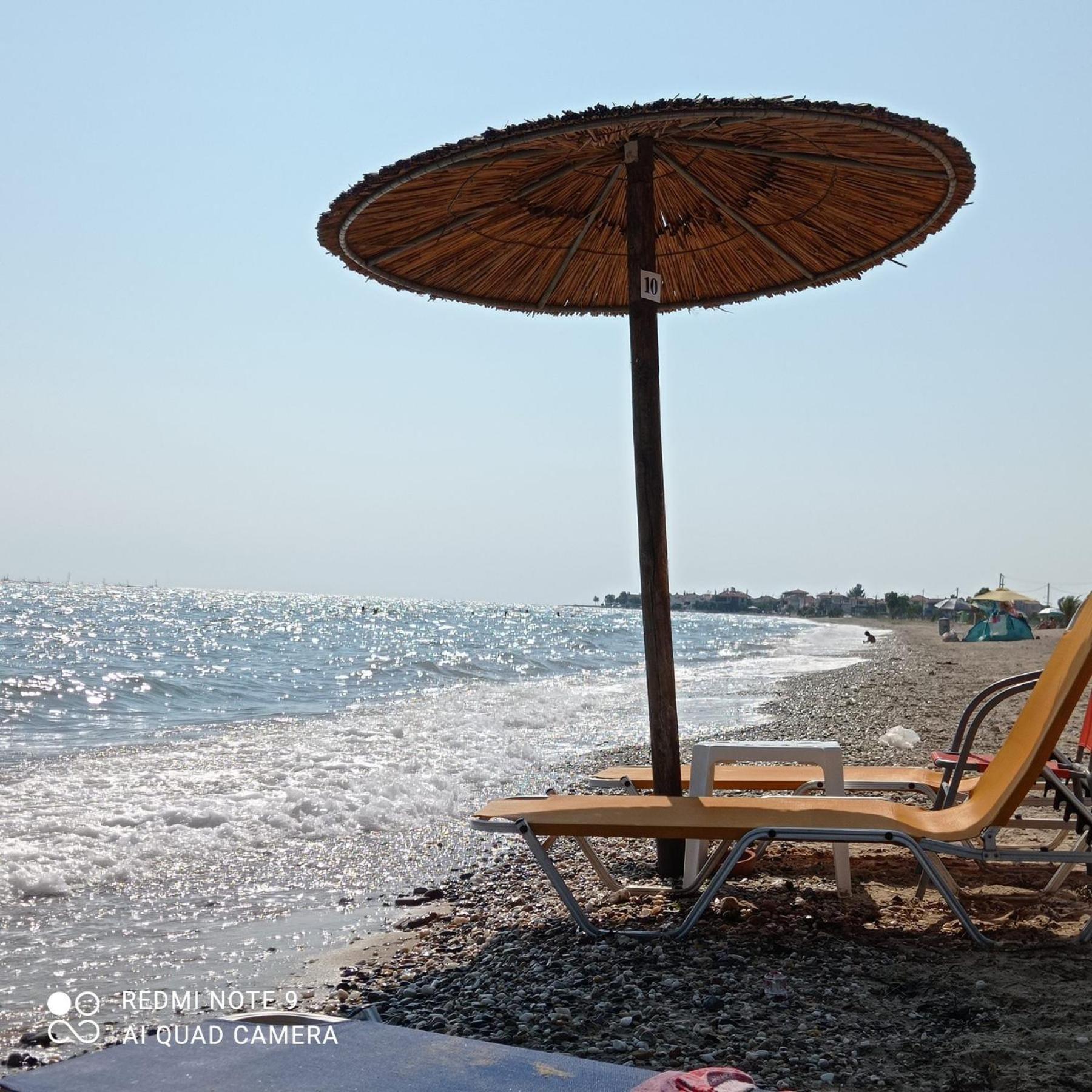 Apartment Perla Paralia Dionysiou